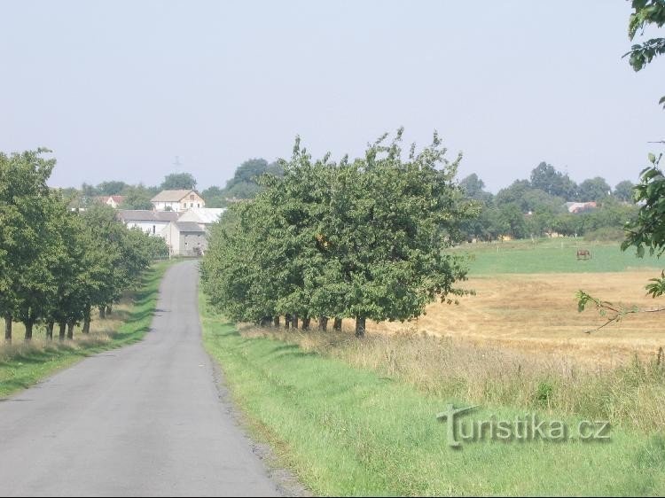 Jestrábí: Zicht op de hoofdweg, richting Kletná
