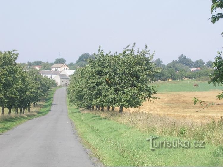 Jestrábí: вид на головну дорогу, у напрямку до Клетни