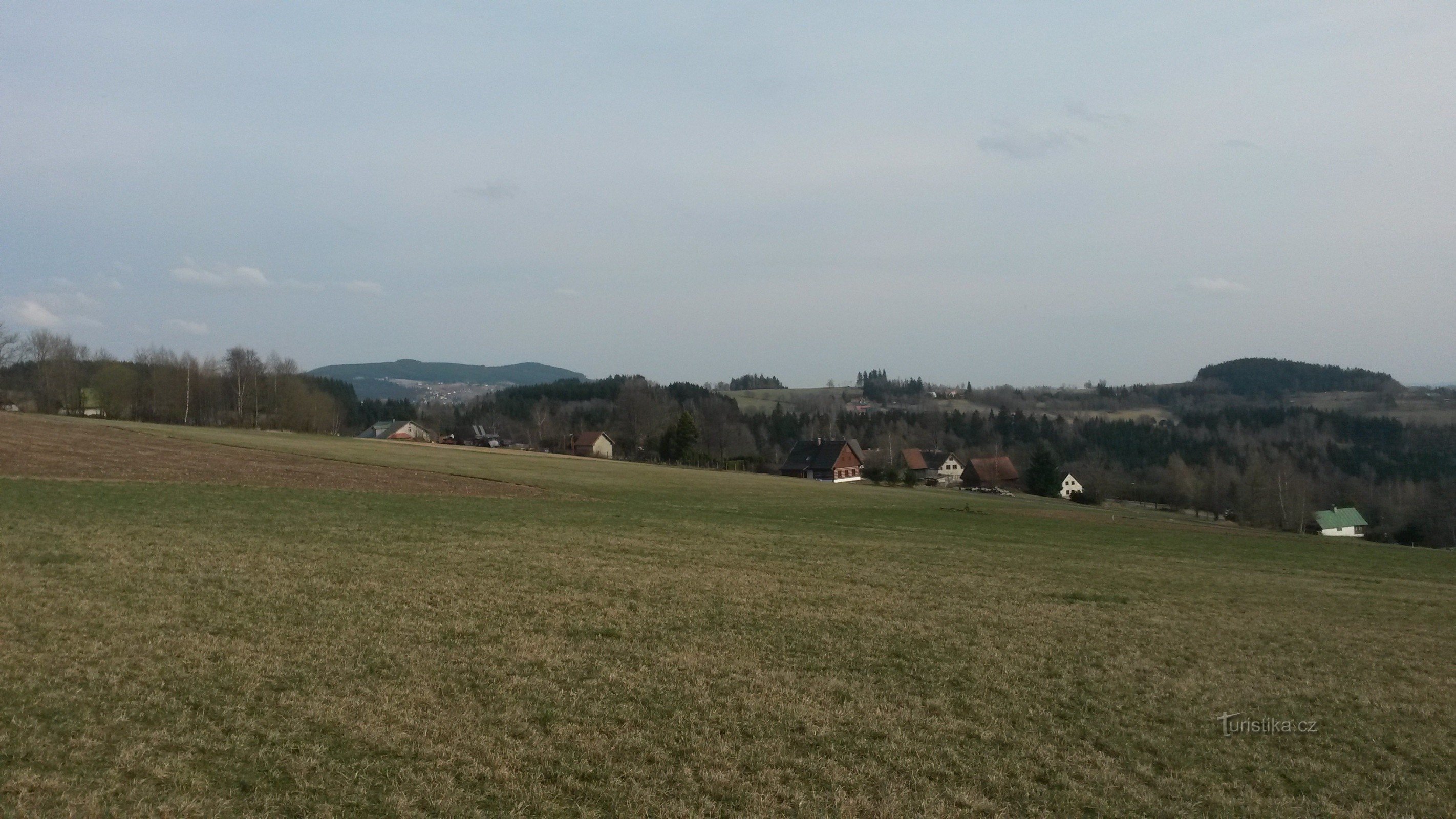 Falken im Riesengebirge