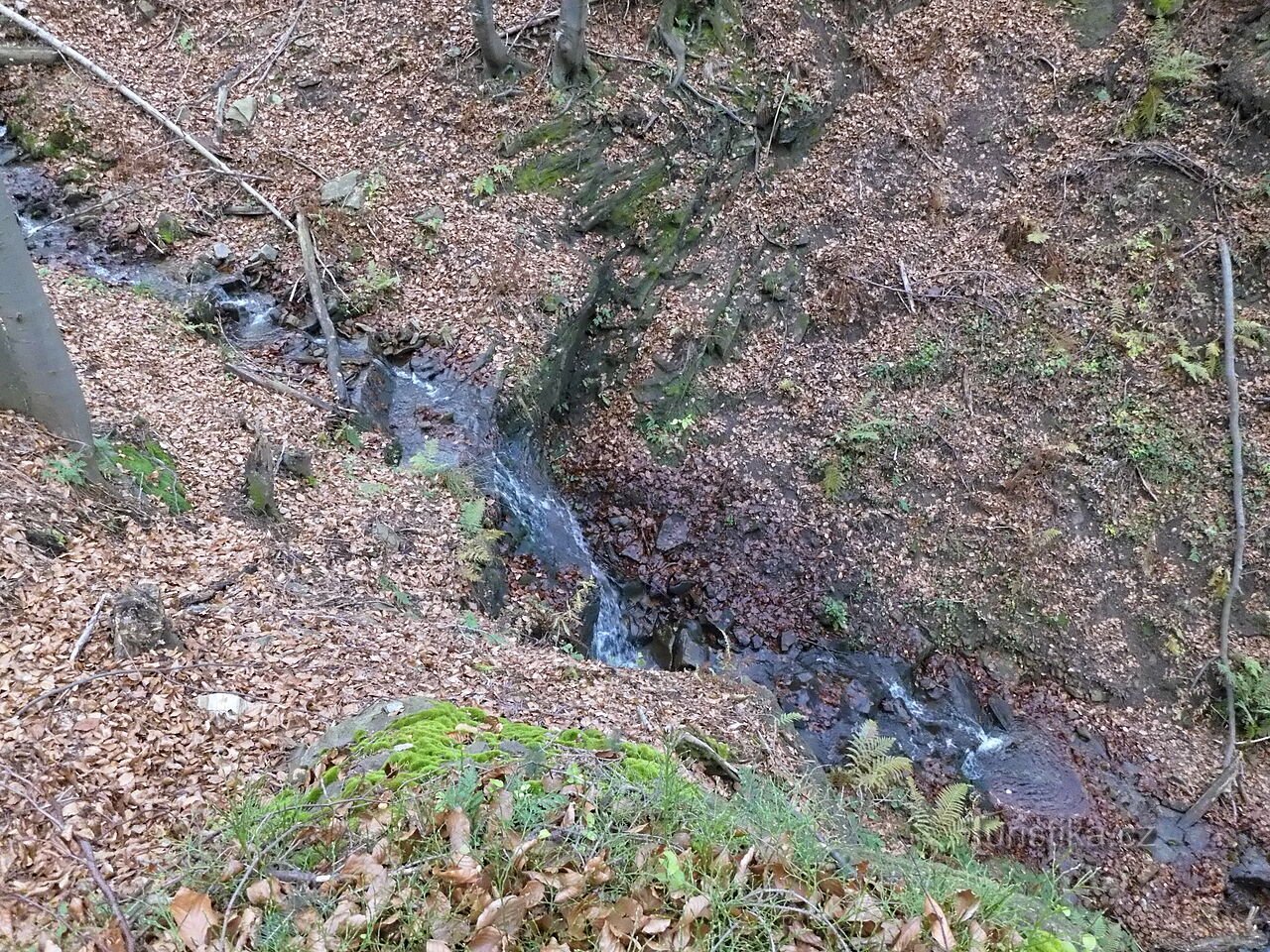 Cataratas del halcón.