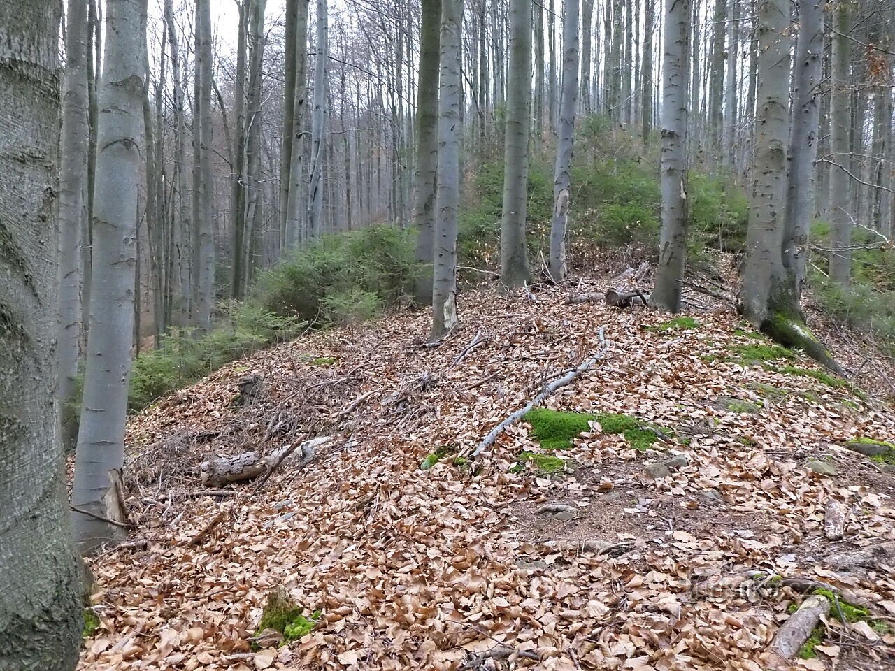 鷹の滝。