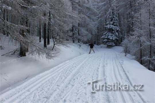 Jestrebi Mountains