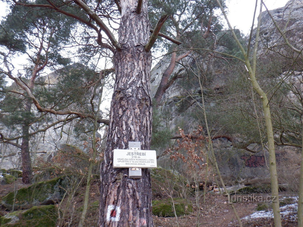 Jestřebí am Mácher See - Burgruine