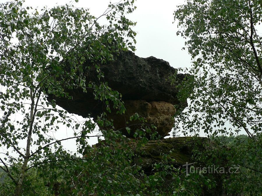 Couvercles œil de faucon