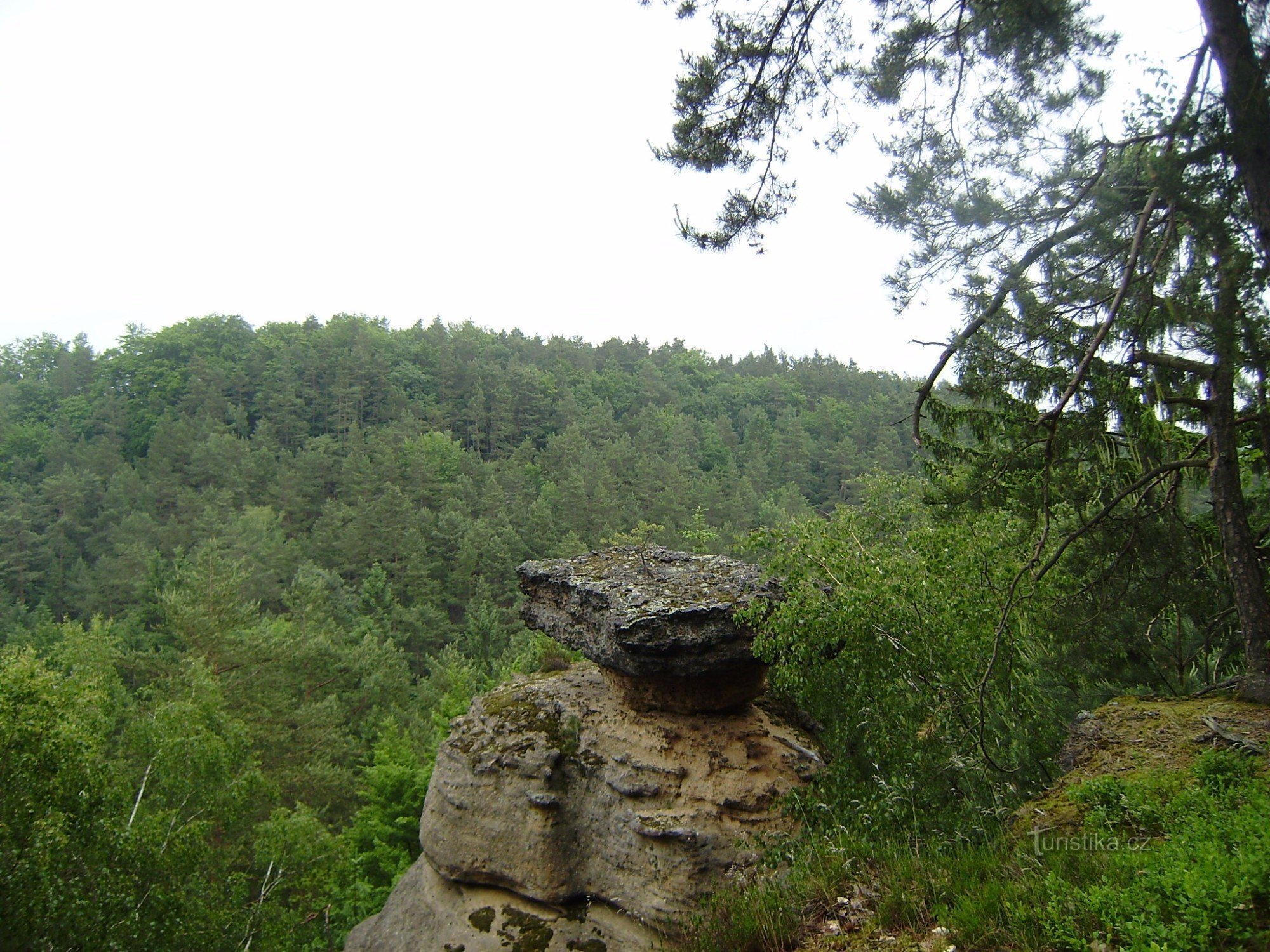 Jestřebické pokličky