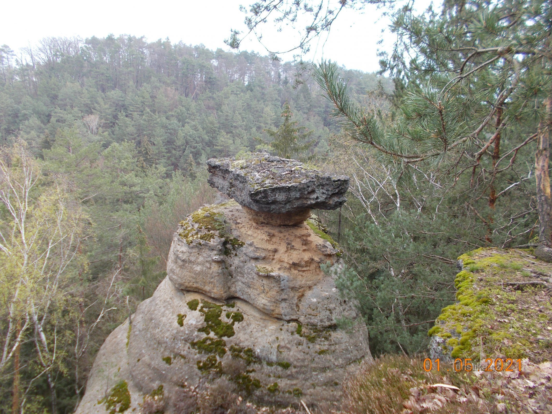 Jestřebické pokličky