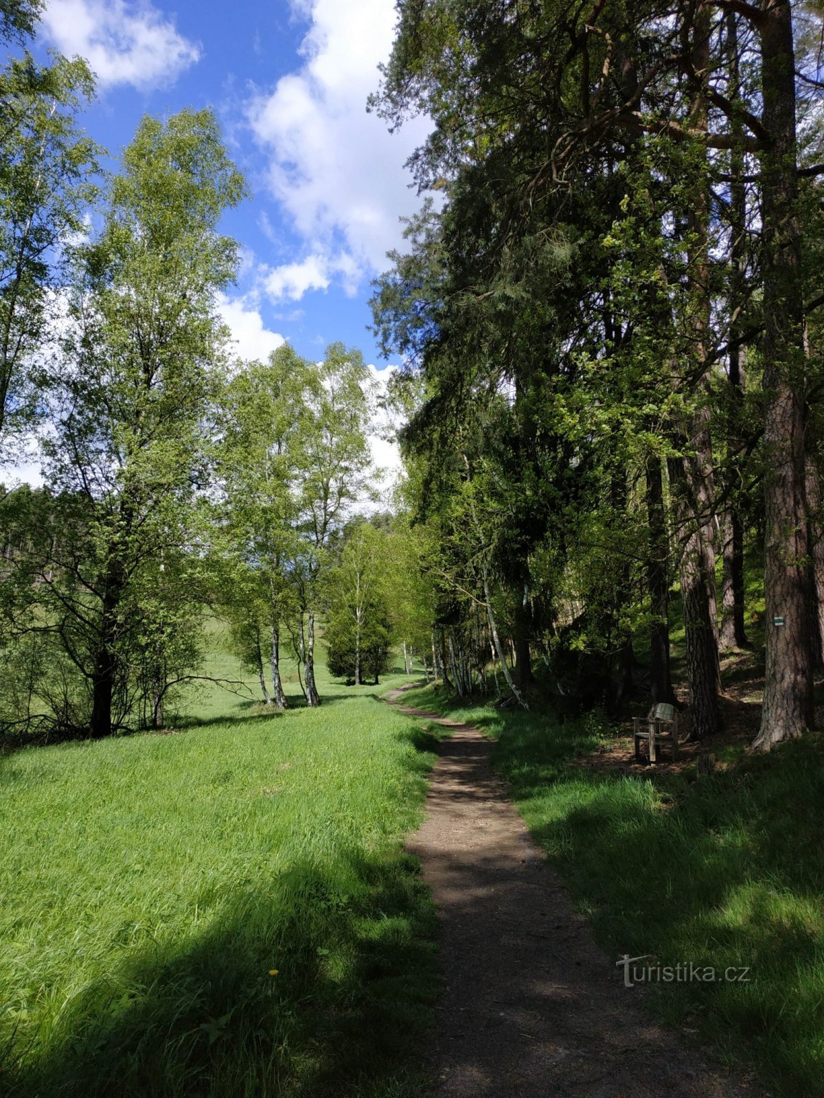 Jetřichovice- Pohovka- Rudolfs sten- Purkartický skog- Rynartice