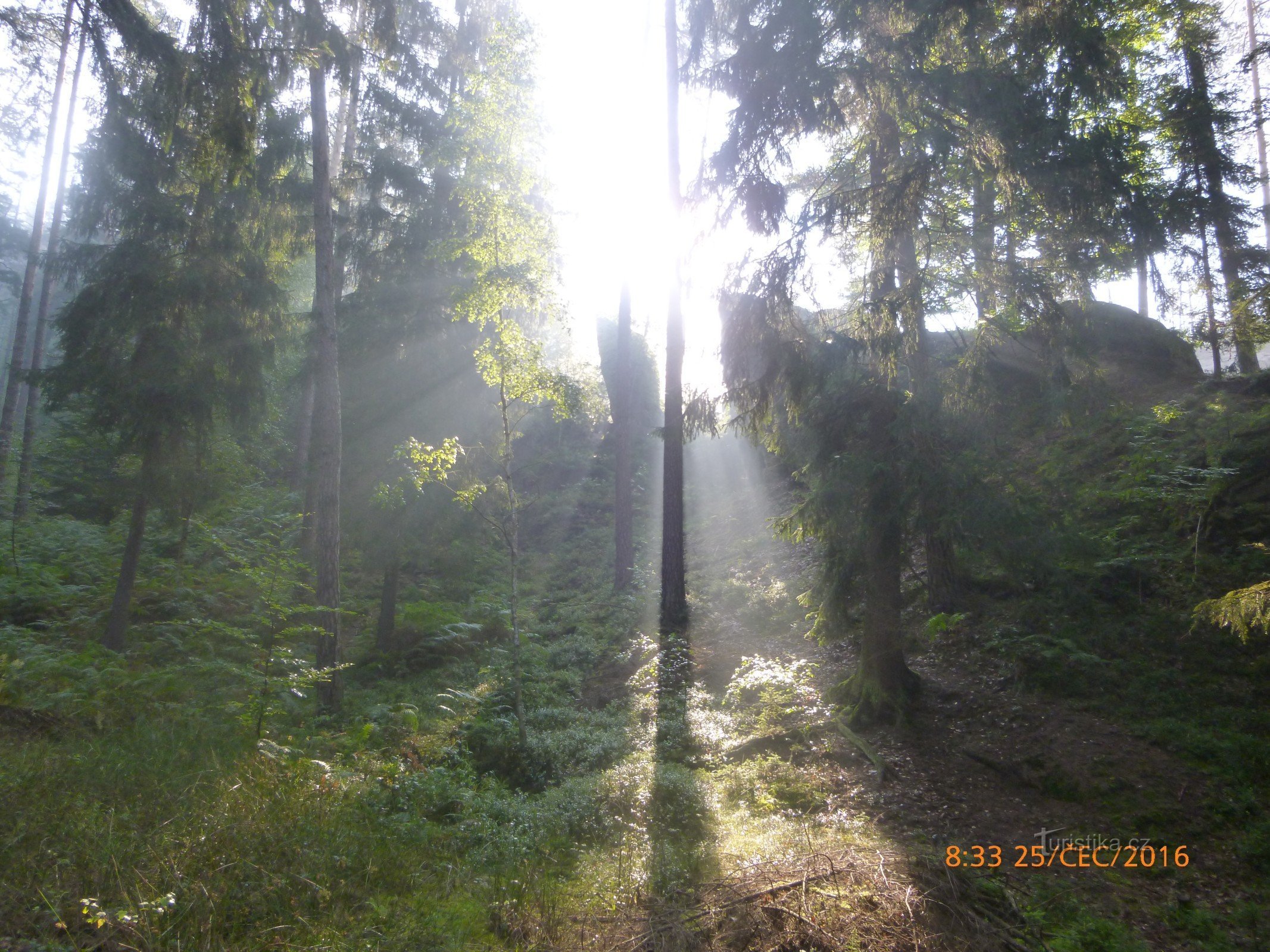 Jetřichovické Umgebung - Böhmische Schweiz