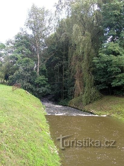 Jevišovka pod Jevišovickim jezom