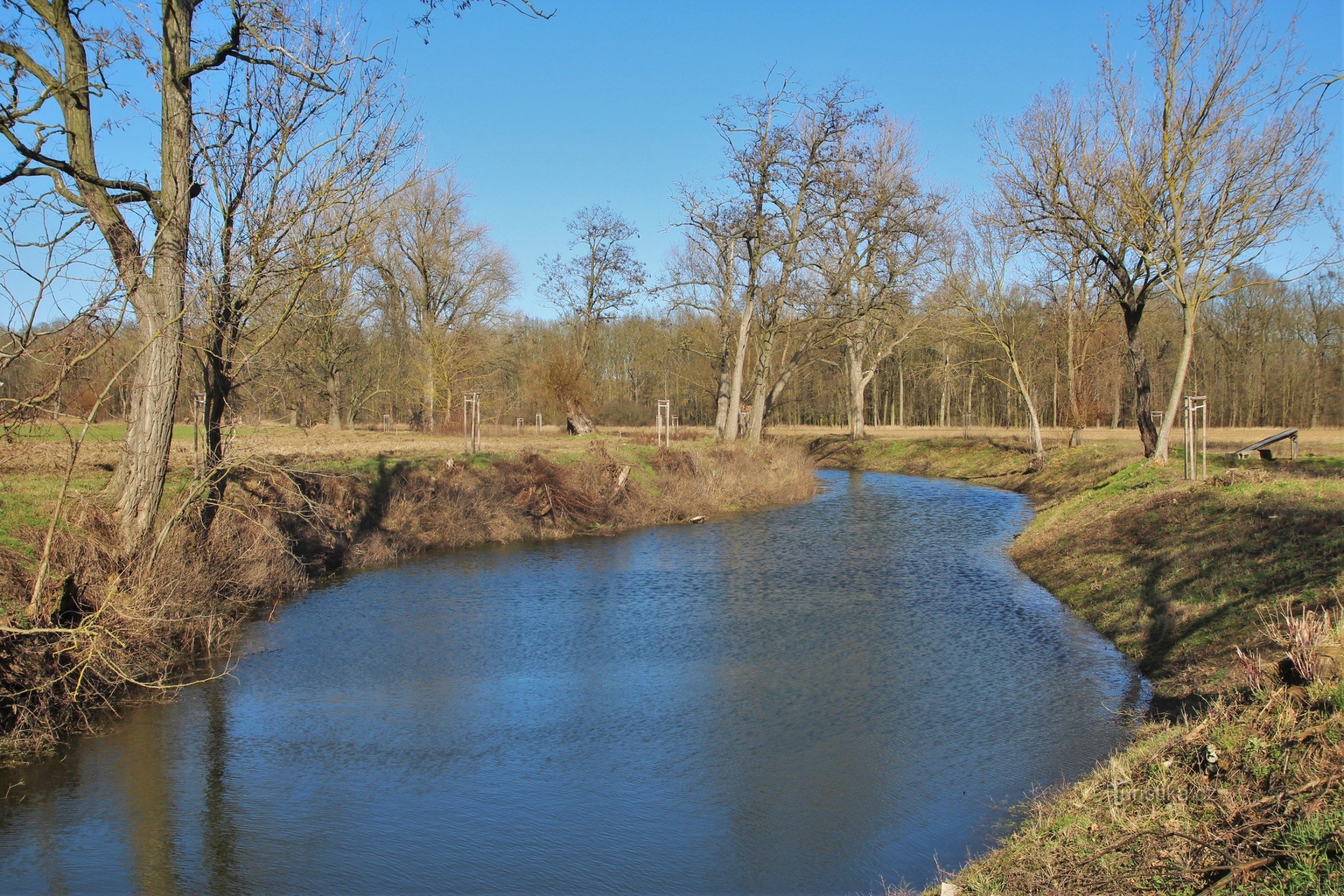 Jevišovka - lagoas em um ombro cego