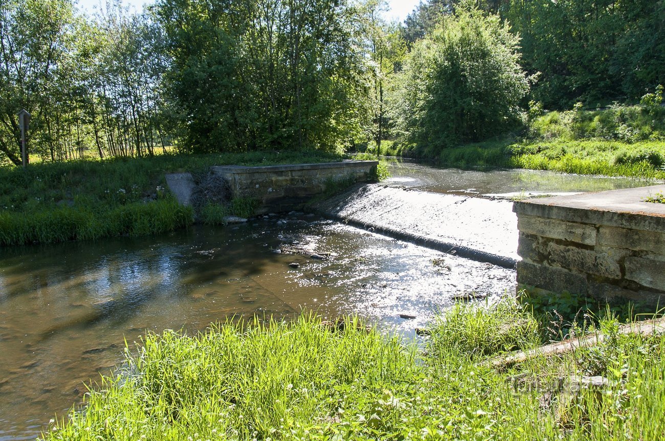 Comer en Moravská Dyja