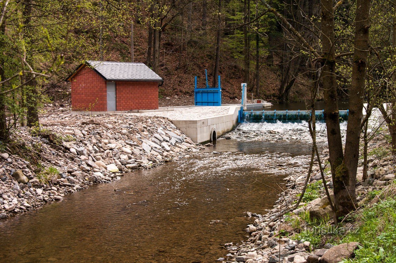 Власке І