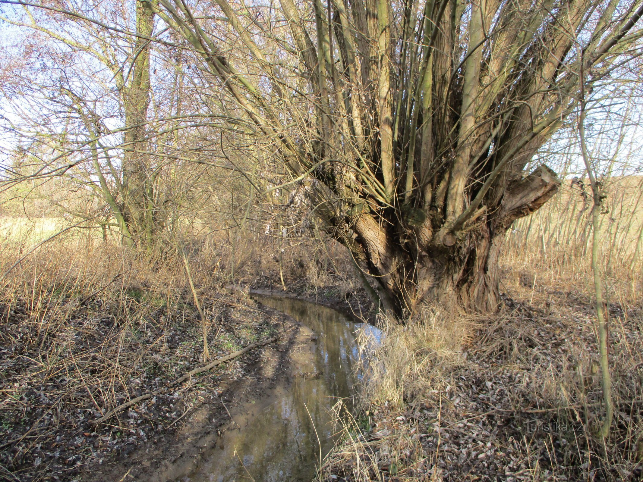 Ρεύμα Jezbinský (Jaroměř)