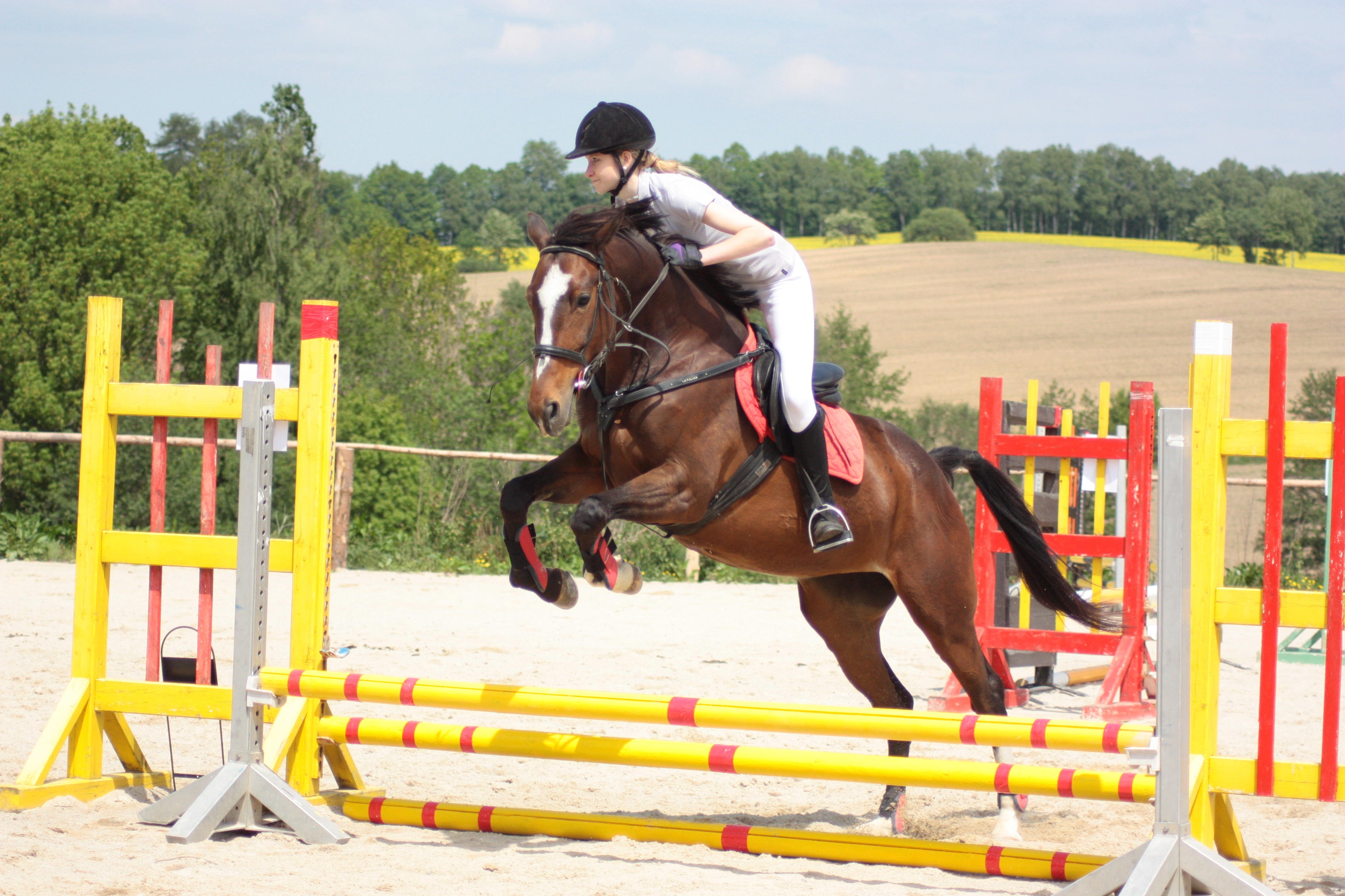 Paardensportgebied Prašný dvůr