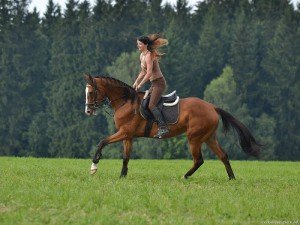 Paardensportclub Dolní Přím