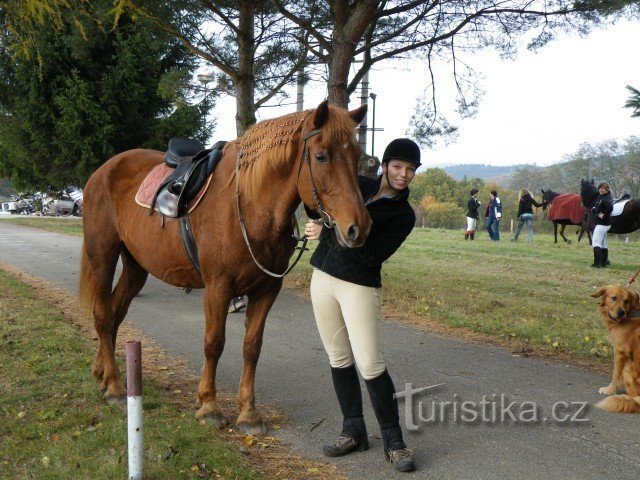 Amazone met een hoge paardenstaart