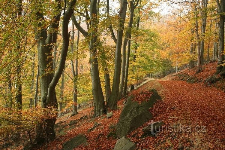 Jezerka: caminho no extremo norte da reserva