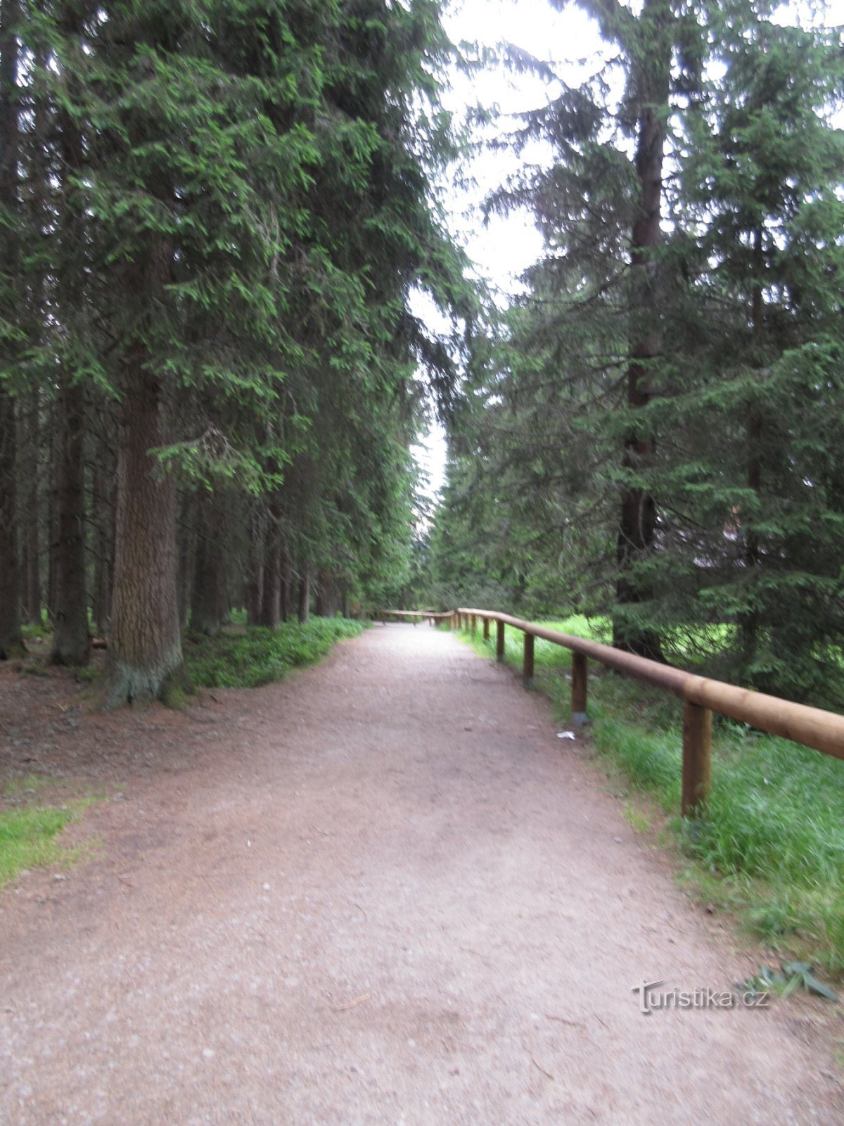 Jezersko barje z razglednim stolpom