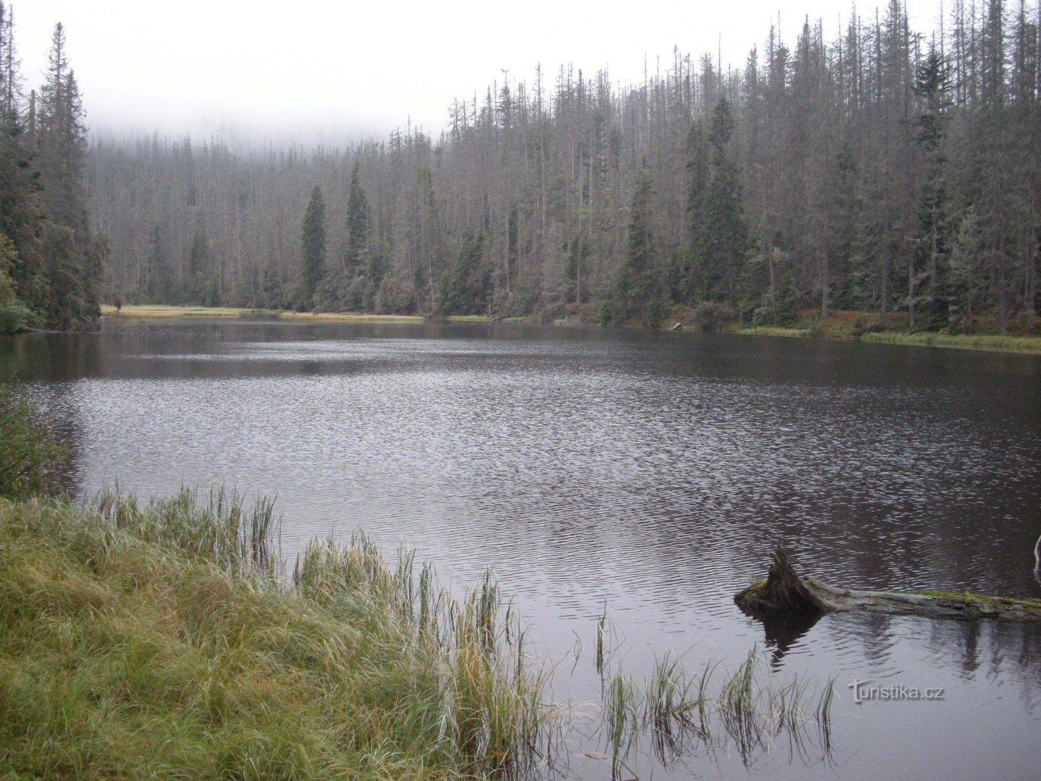 Lago Laka