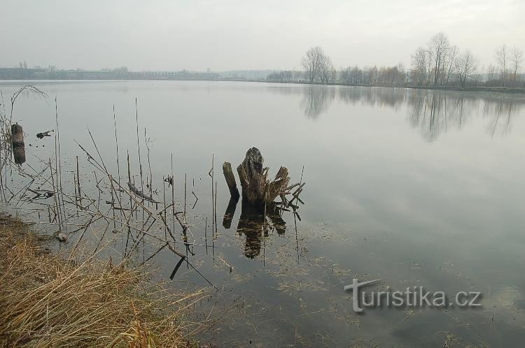 Sjön Tovačov II