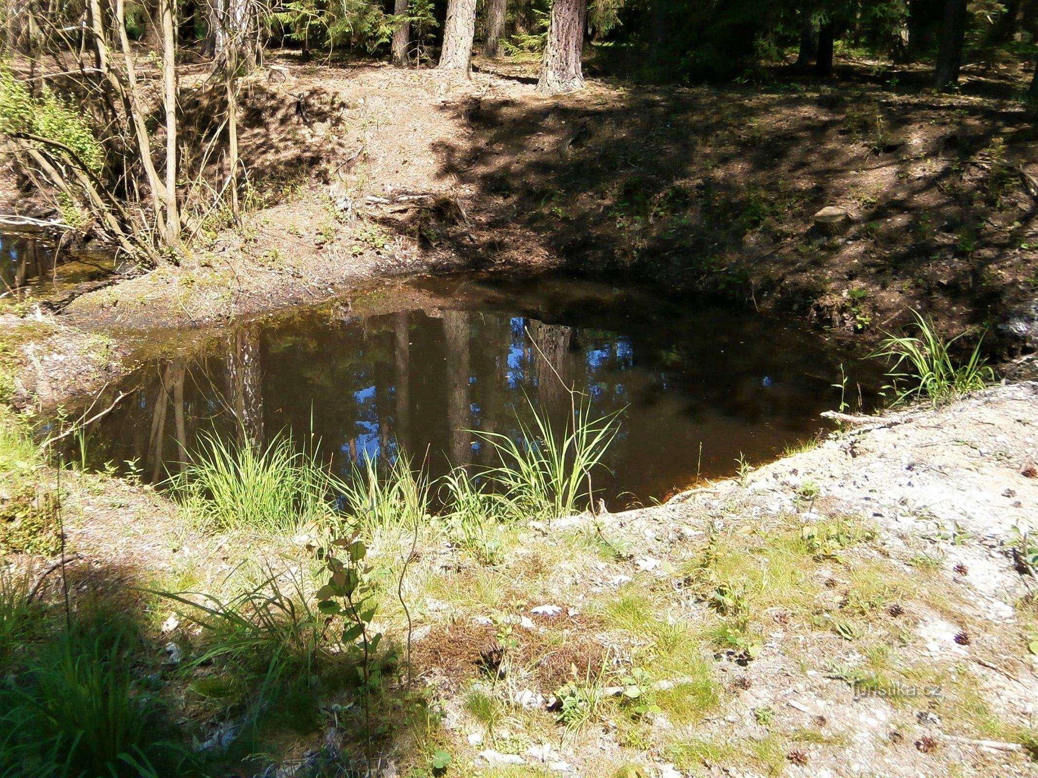 Lago bajo el pueblo (Hradec Králové, 7.6.2016/XNUMX/XNUMX)