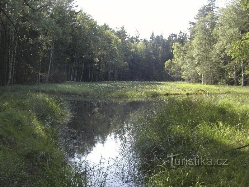 See in der Nähe von Rozvadov