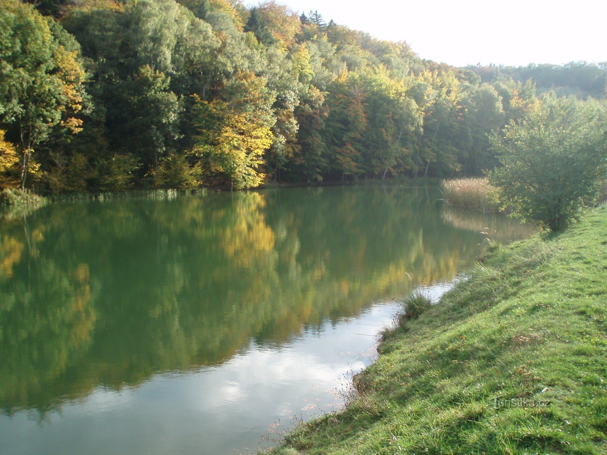 Ein Teich