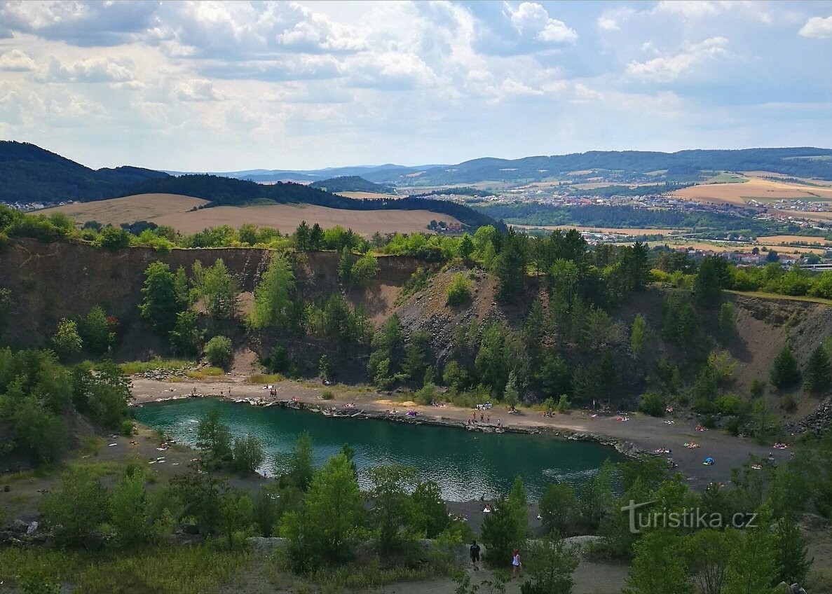 Stagno - dettaglio