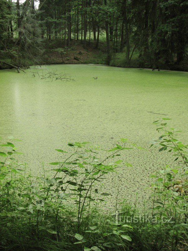 Lacul dragostei, spa Vráz