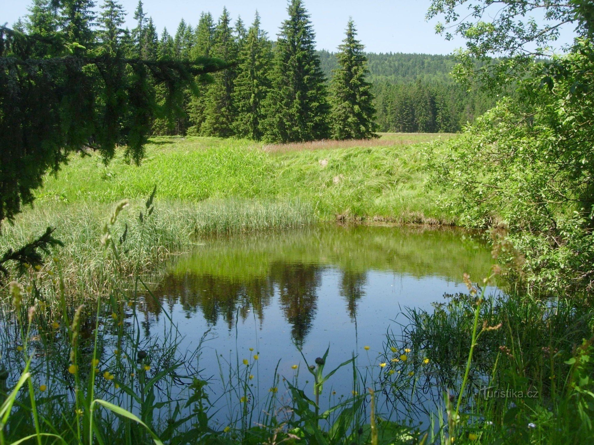 Η λίμνη στο Nové Brunst