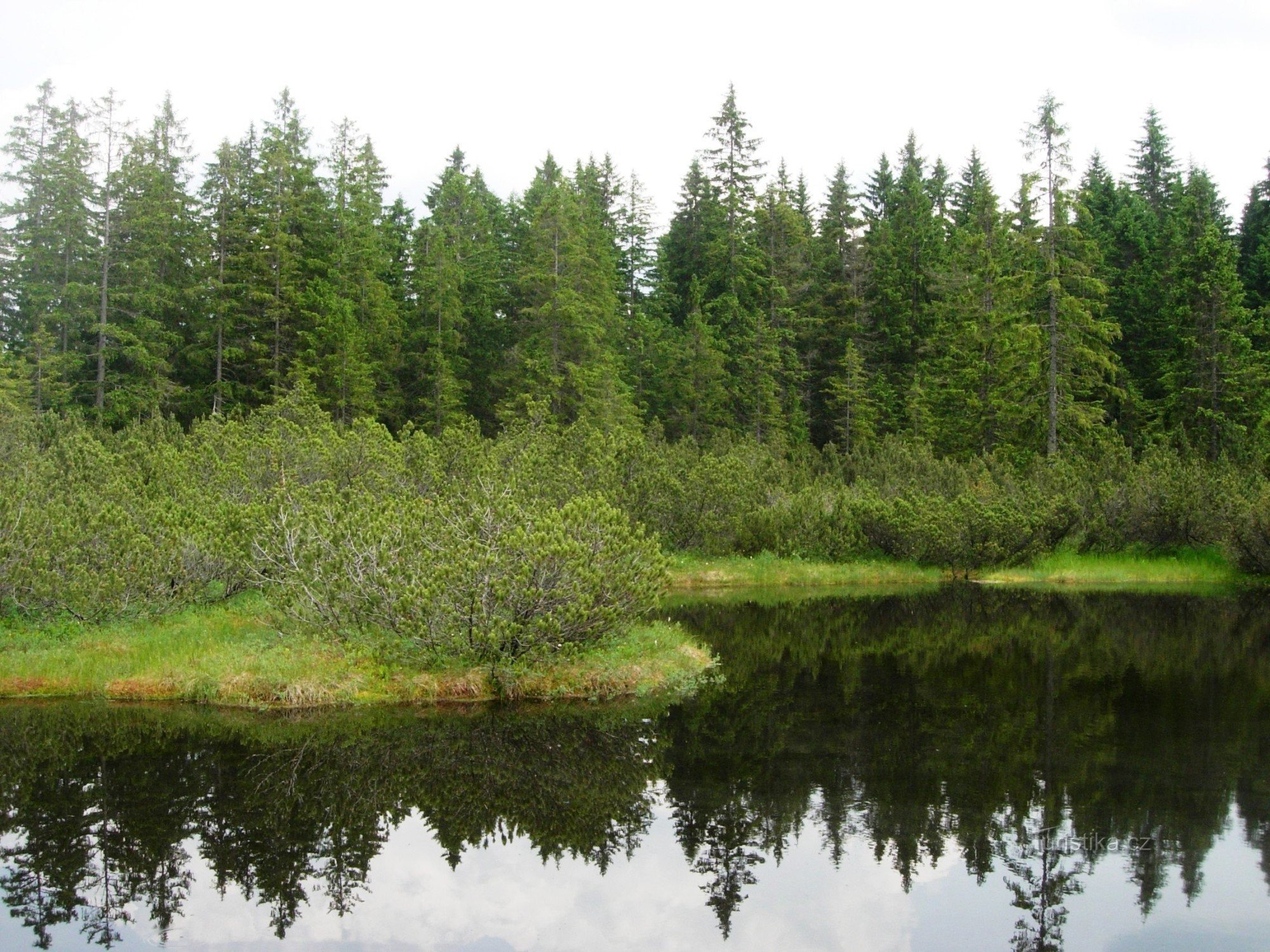 Un lac sur le marais des Trois Lacs