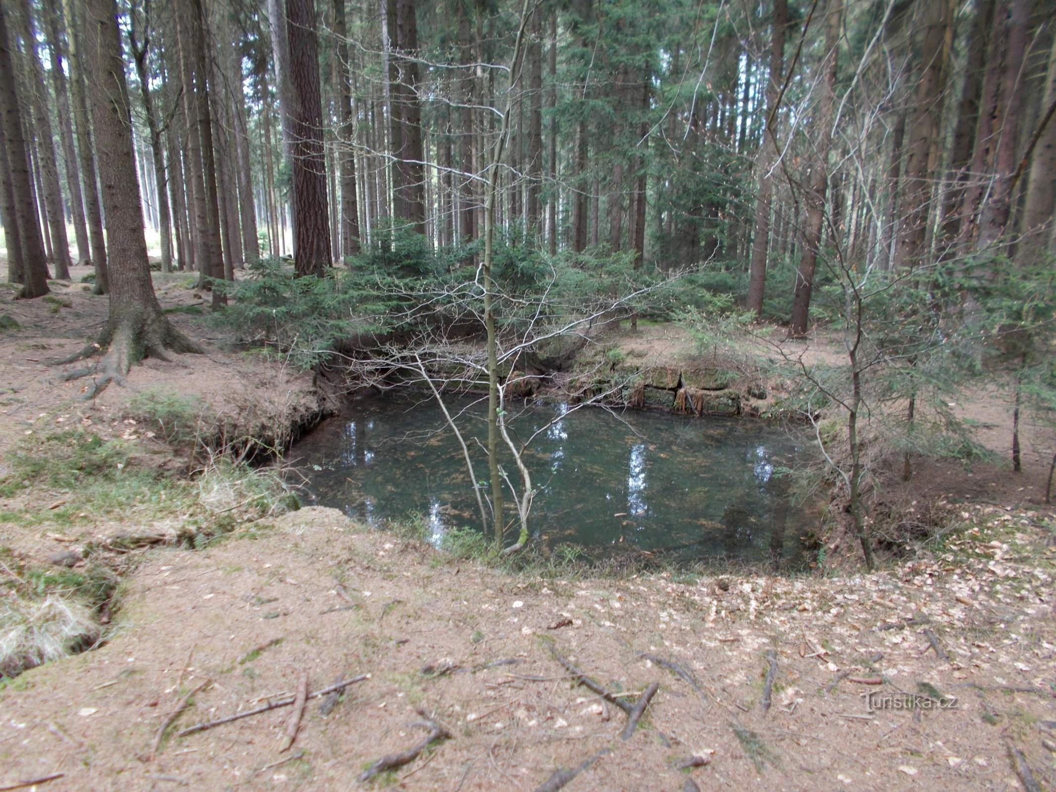 Un estanque bajo un manantial