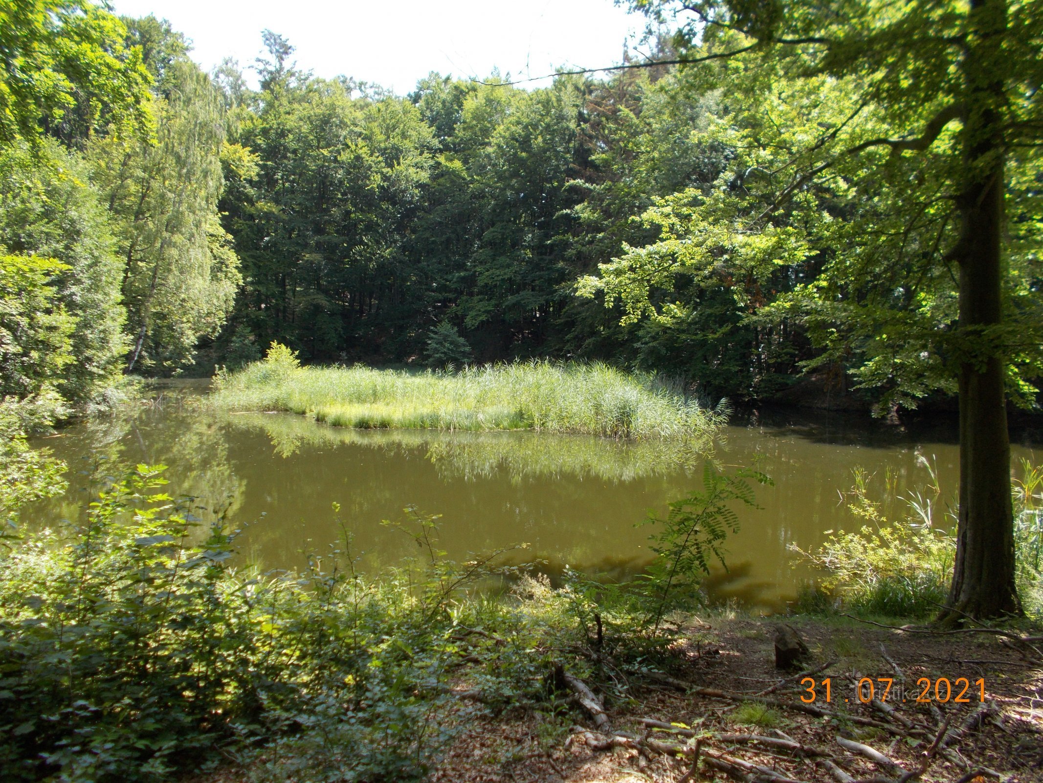 Lago sob o Tábor