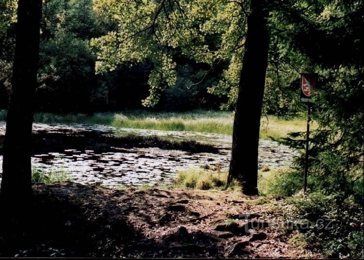 Rozsičko jezero