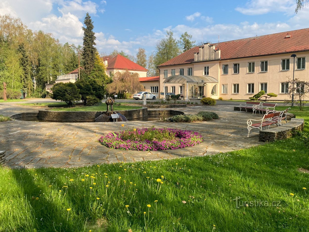 A pond with a spring