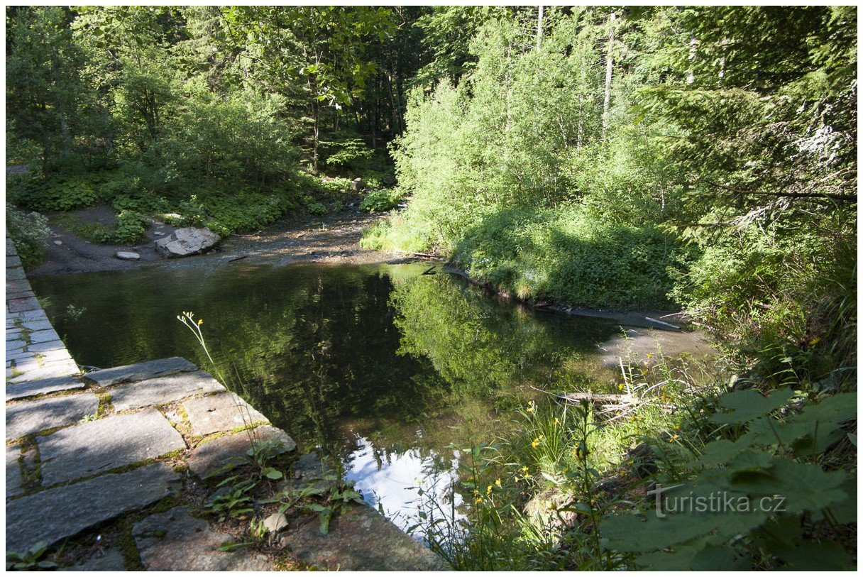 Der Teich nebenan