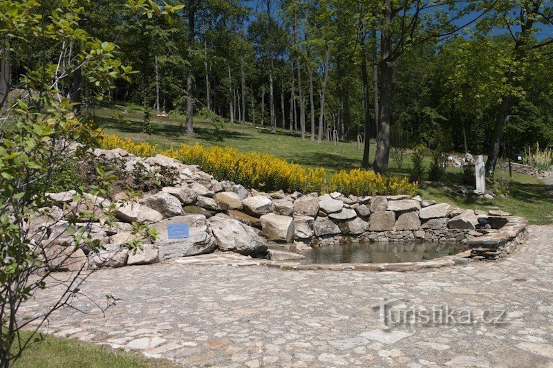 Pond by the waterfall