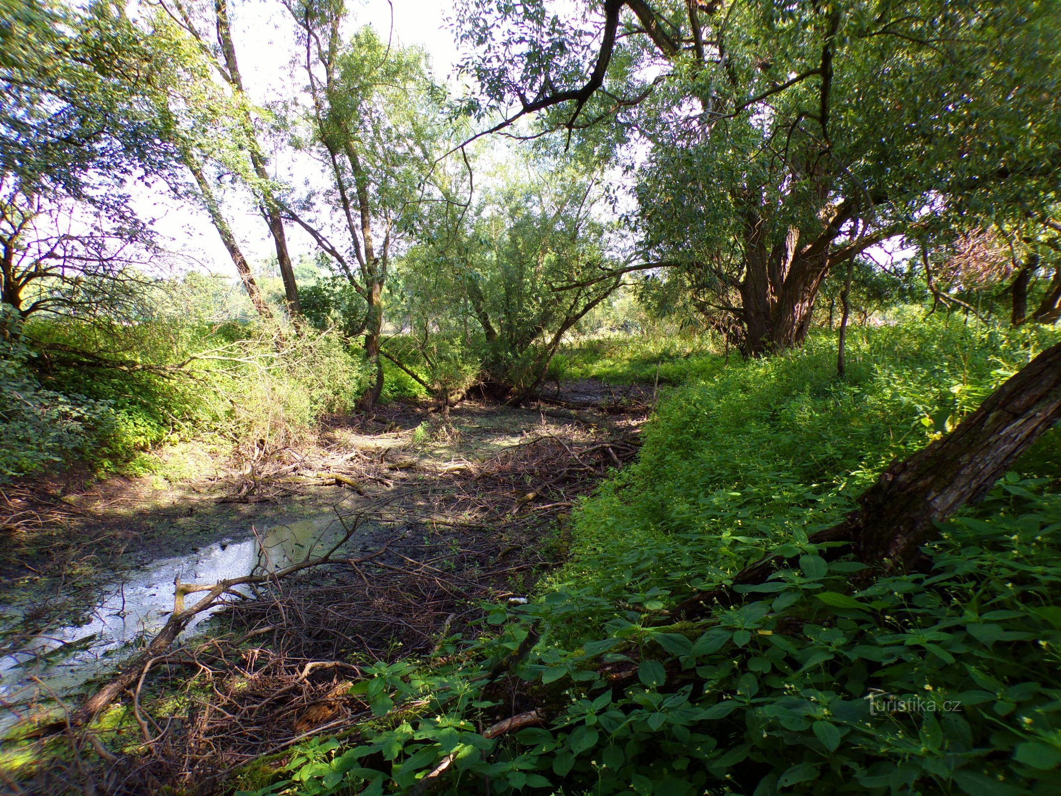 Lago in località Hlinka (Nepaice, 31.7.2022)