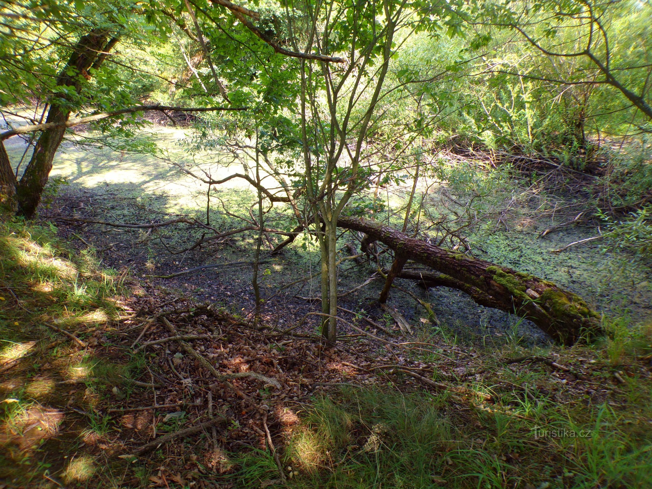 Lago na localidade de Hlinka (Nepasice, 31.7.2022)