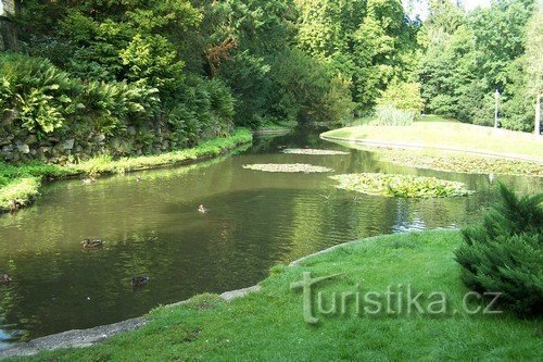 Vijver in het park