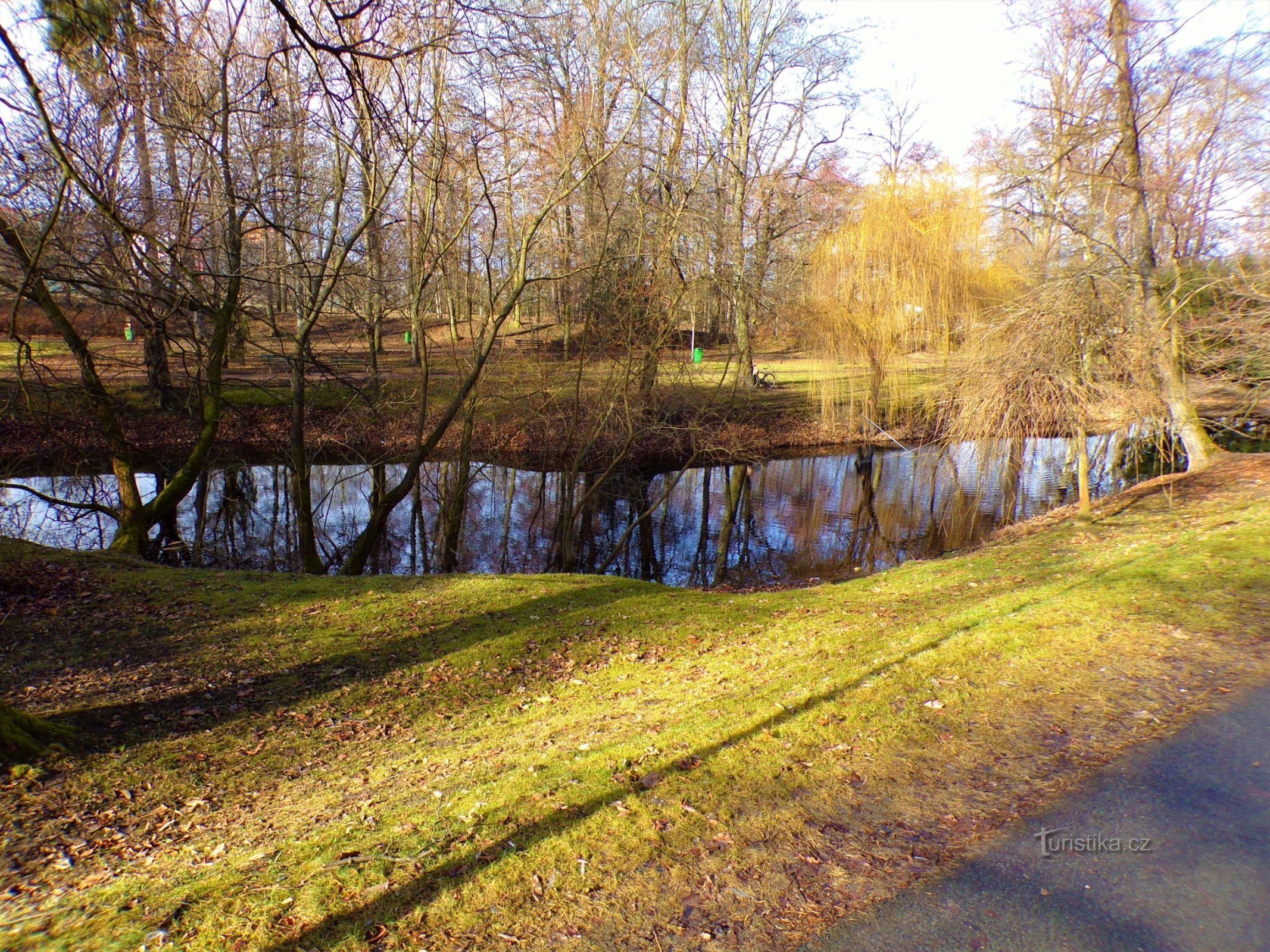 Hồ trong công viên Vinice (Pardubice, 16.2.2022/XNUMX/XNUMX)