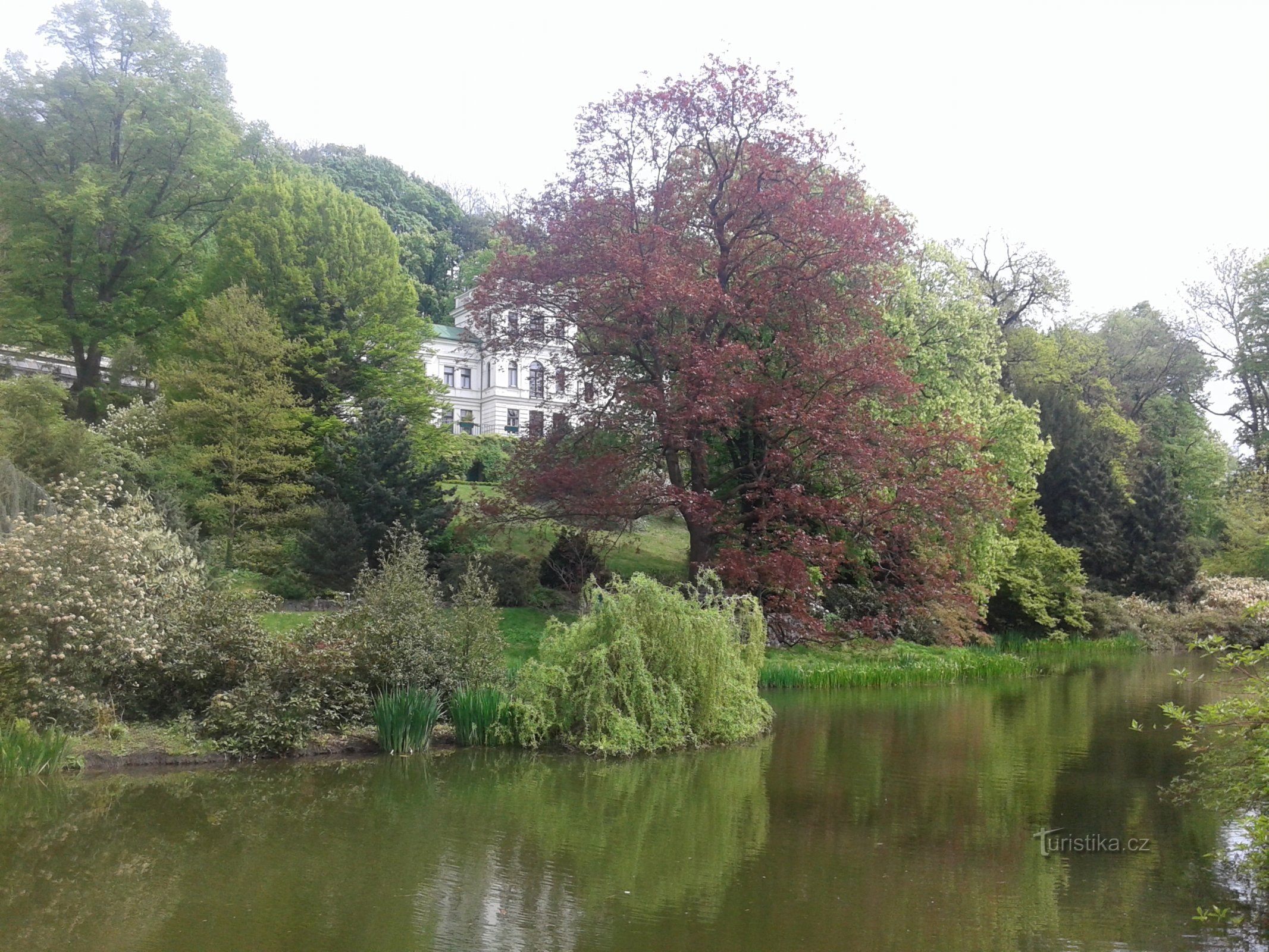 Lagoa no jardim