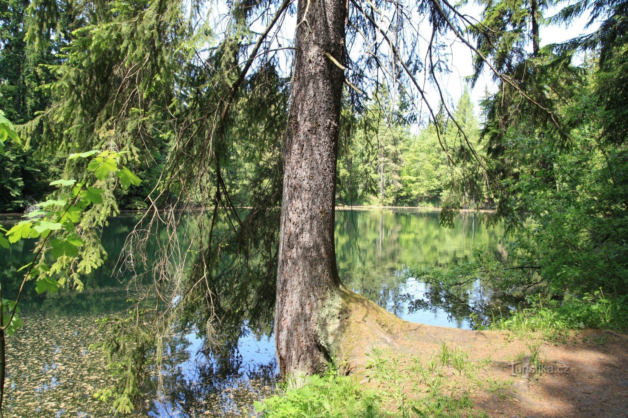 Hồ Vápenice