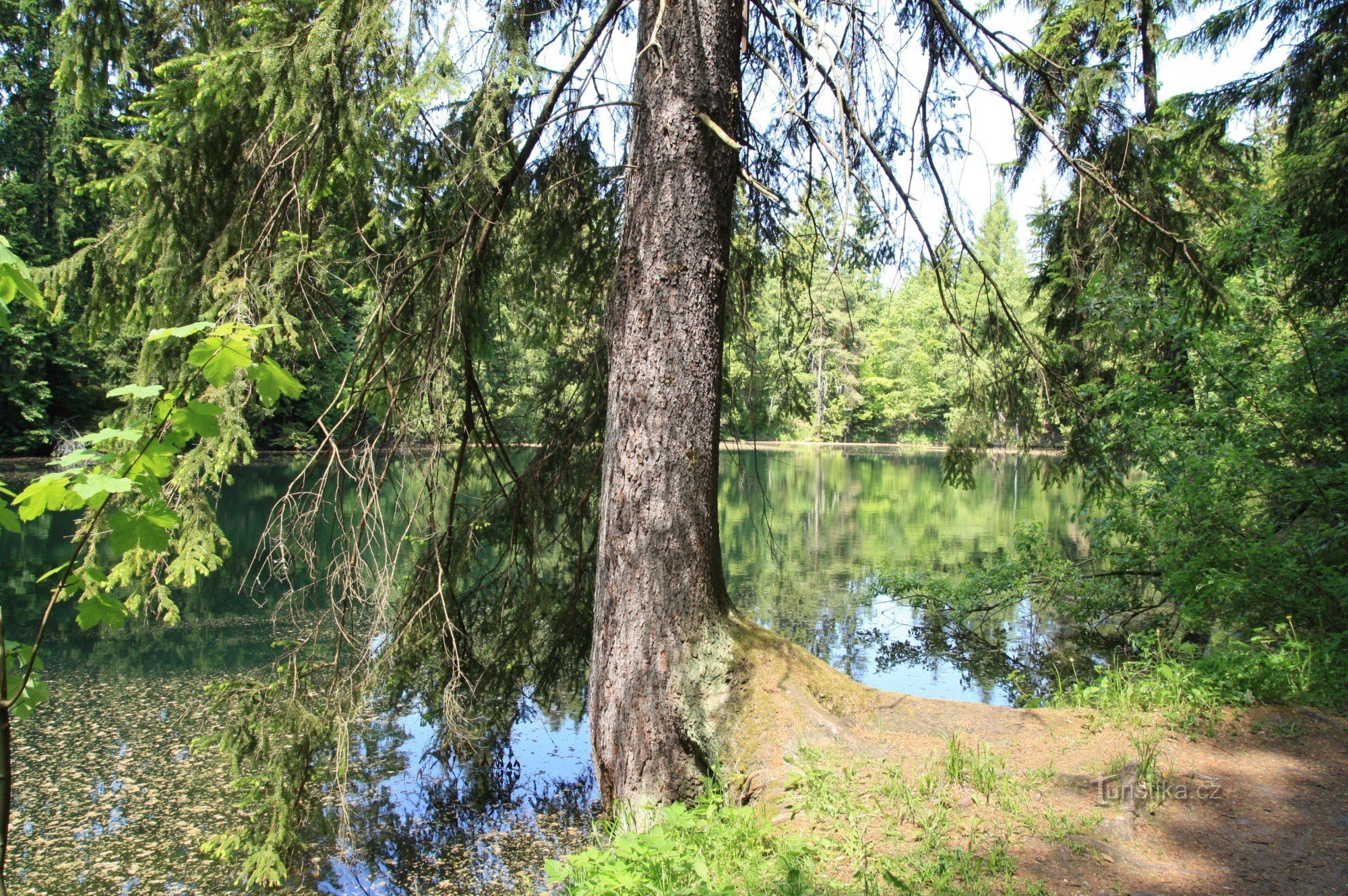 Lacul Vápenice