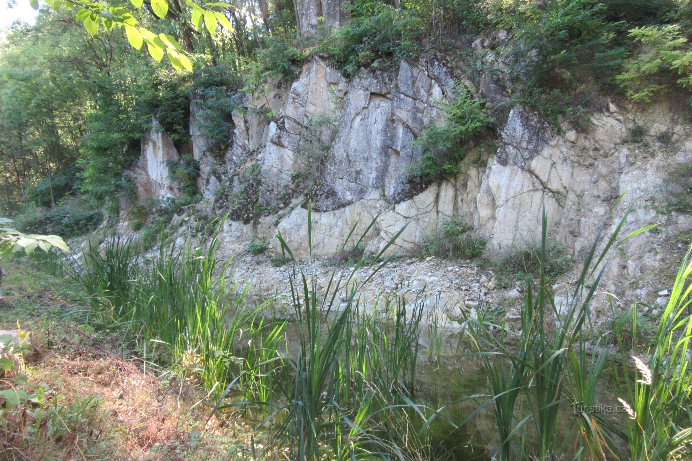 Lo stagno dietro l'ingresso della cava