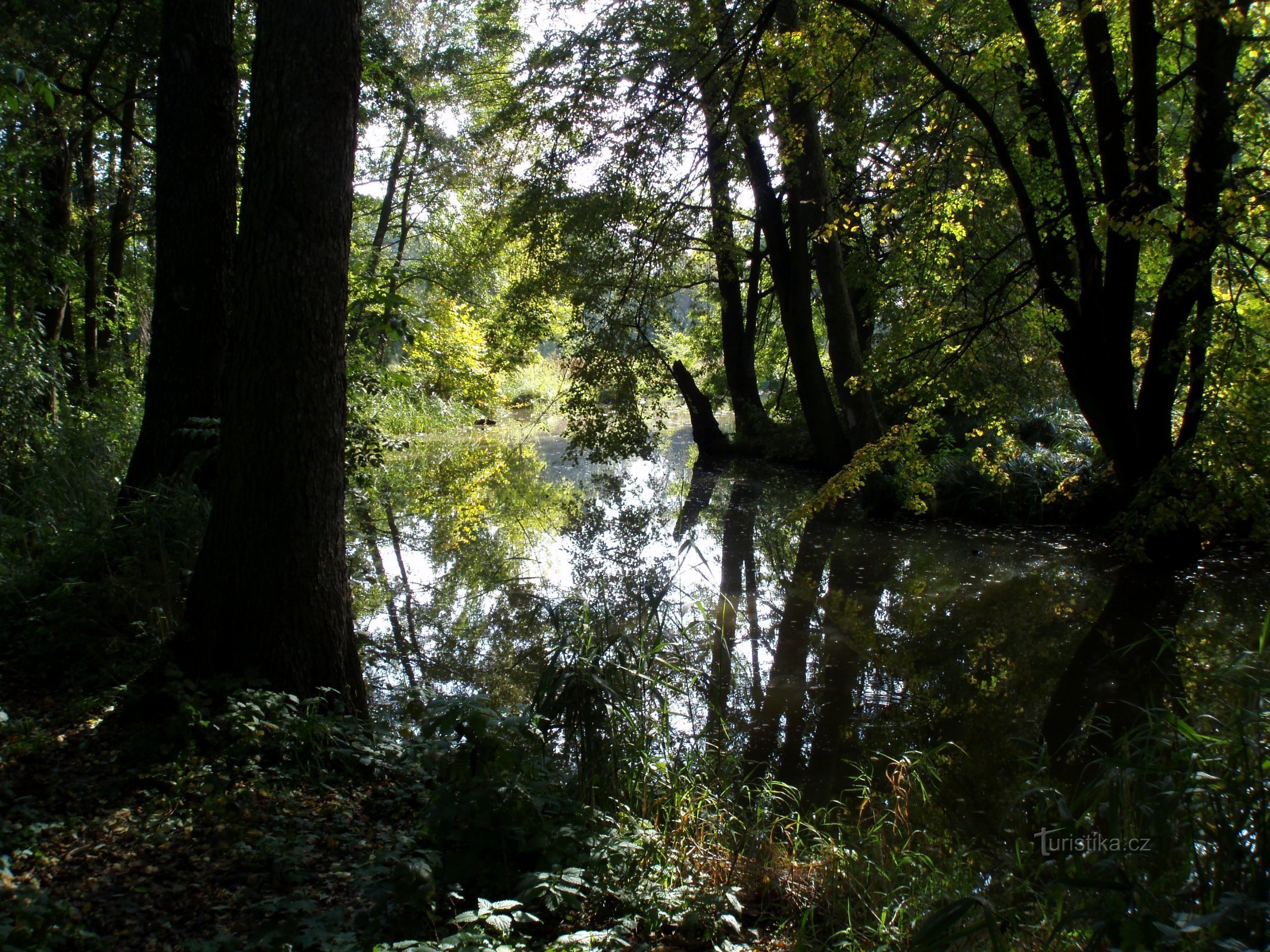 Jesuit Lakes (Malšovice)