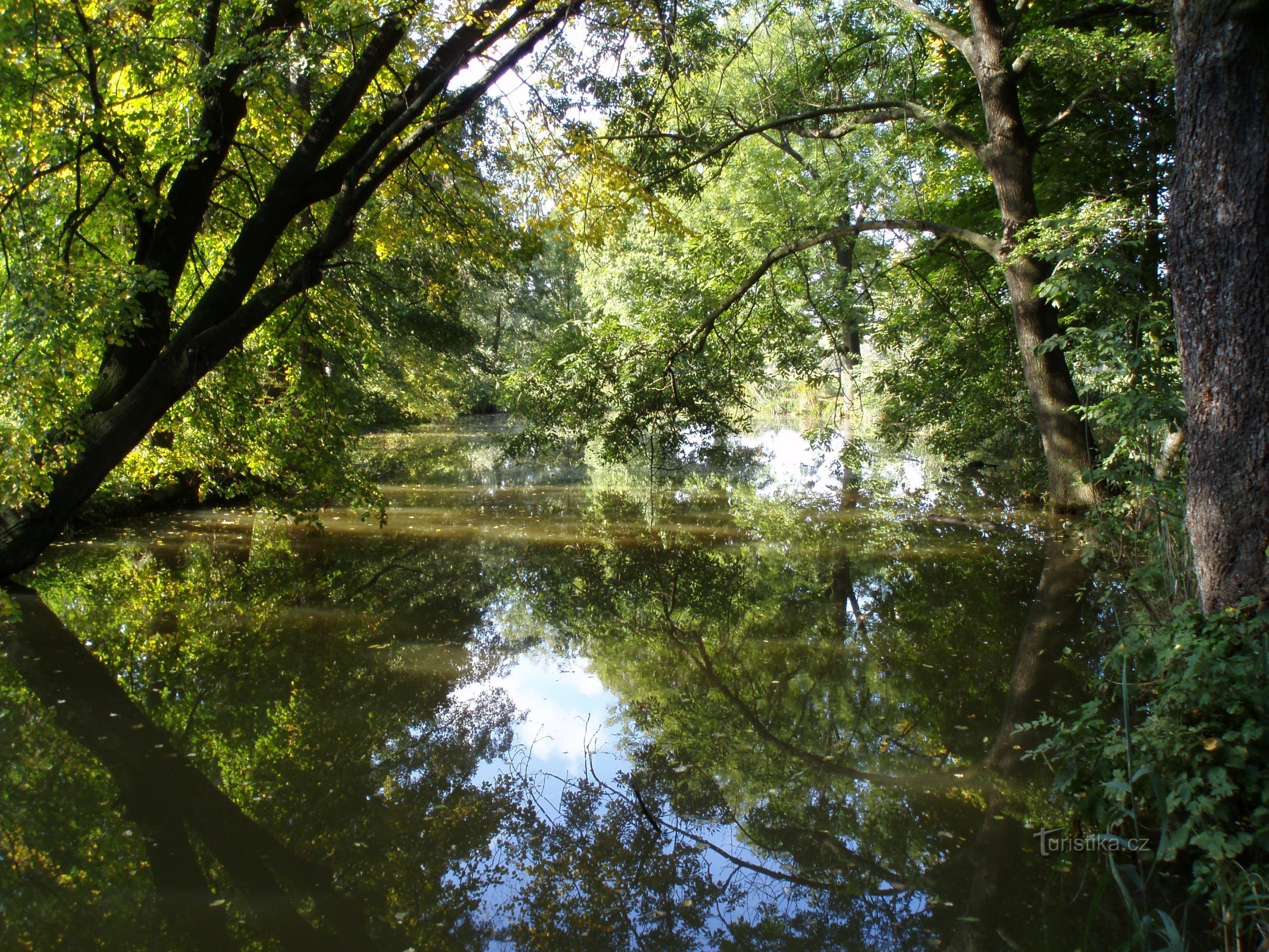 Hồ Dòng Tên (Malšovice)