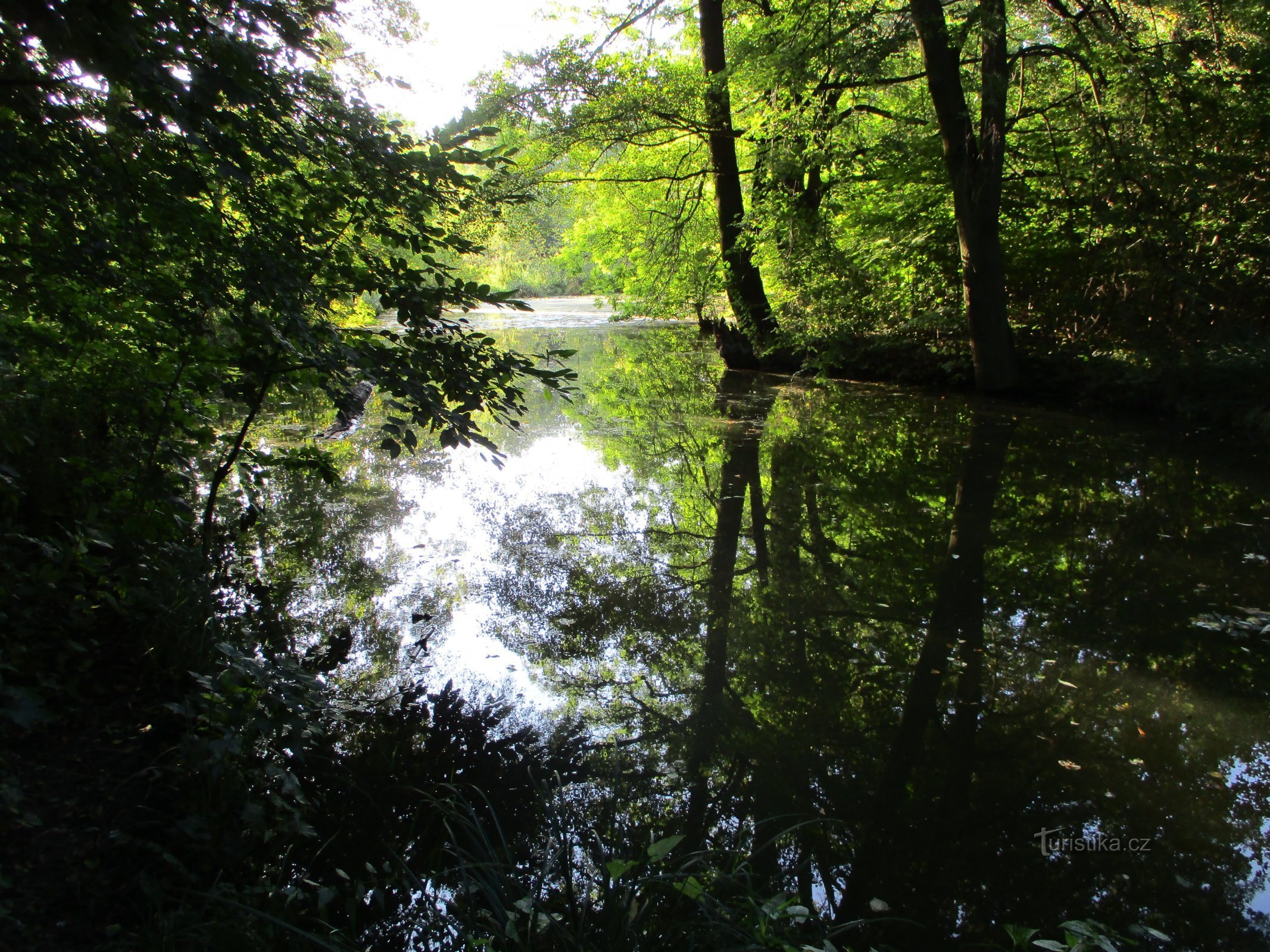 Jesuit Lakes (Malšovice)