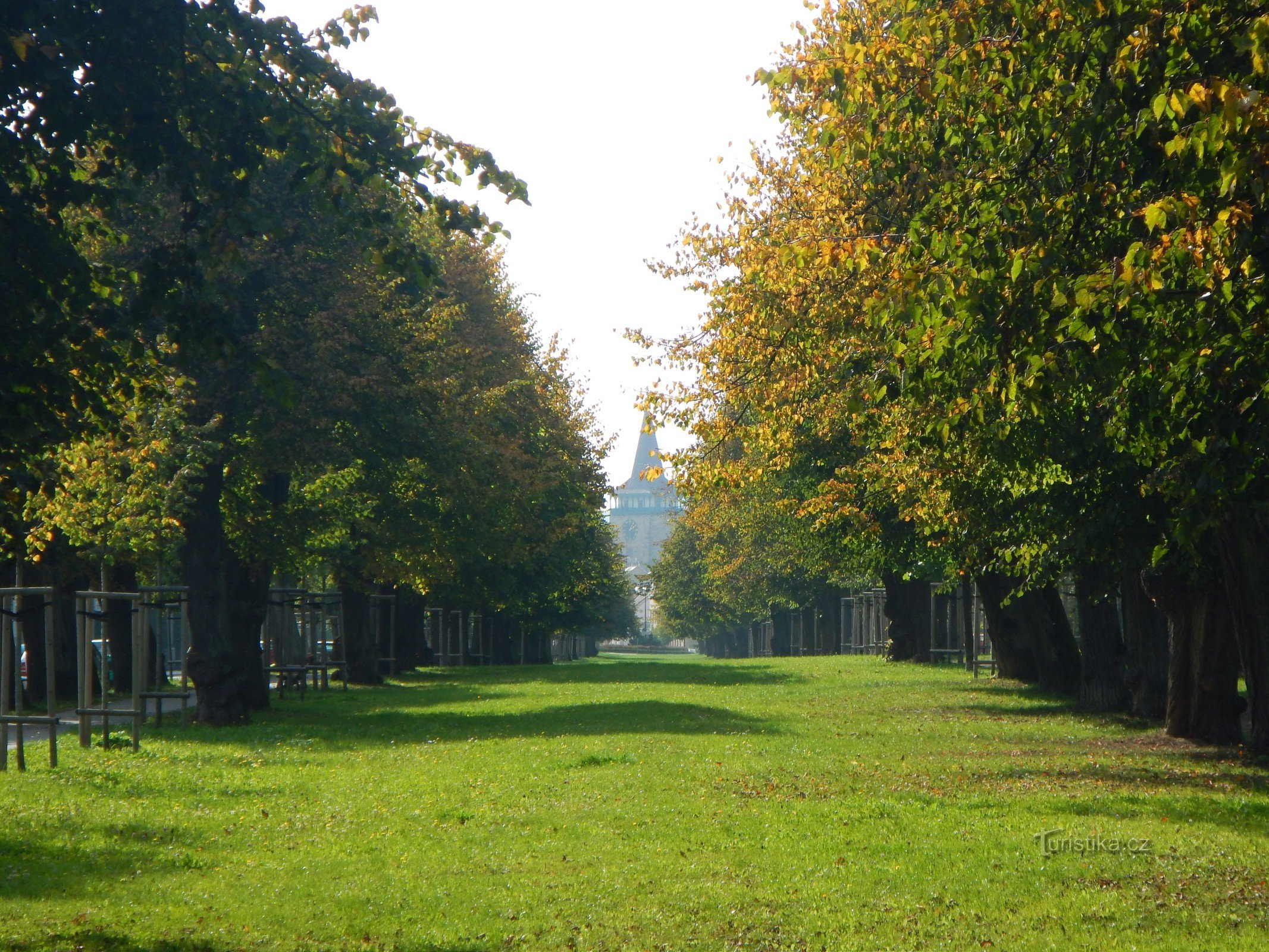 Jičín hársfasor. A háttérben a Valdická-torony.