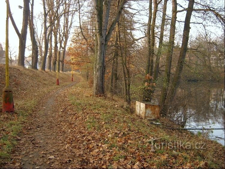 Južno od ribnjaka